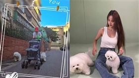 ▲蔡依林。（圖／翻攝自IG）