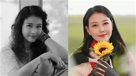 周海媚（圖／翻攝自周海媚工作室微博）