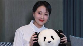 周海媚工作室 微博