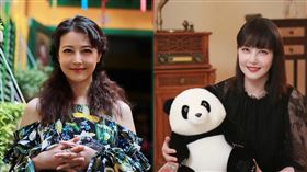 周海媚。（圖／翻攝自微博）