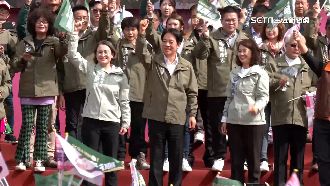 賴清德將展開「環島拼圖」　拉抬綠小雞