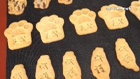 文 鐵粉戰貓餅1800