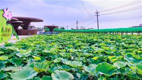 觀音蓮花園休閒農業區是最受台灣人歡迎的農場。（圖／翻攝自觀音蓮花園休閒農業區臉書）