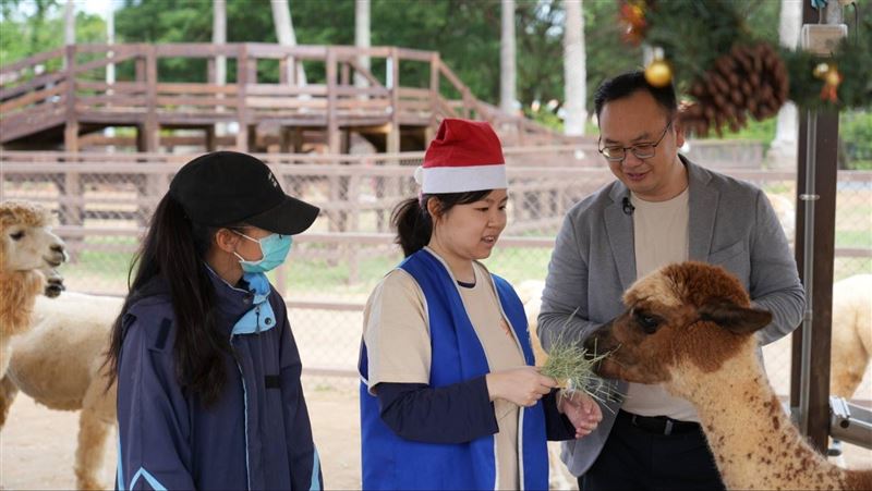 身障兒當一日動物管理員　埔心牧場餵水豚