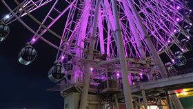 台中,摩天輪,性愛影片,快槍俠,泌尿科醫師呂謹亨,早洩