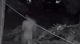 沙鹿休閒景觀步道，遛鳥，裸男巡山，辯稱「運動太熱脫光光」(圖／翻攝自沙鹿之美臉書)