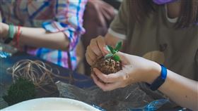 香蕉廢棄物華麗轉身  旗山東昌里朝負碳社區邁進高雄市旗山區東昌里為改善登革熱疫情，將香蕉農業廢棄物再利用為特色伴手禮並推動低碳生活等，明年可望成為實質負碳社區。圖為利用香蕉絲做成的香蕉絲水苔球。（高雄市旗山區糖廠社區發展協會提供）中央社記者吳欣紜傳真  112年12月15日