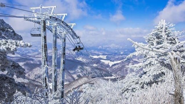 冬日驚喜！探索韓國的雪域仙境與美食樂章