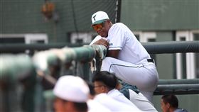 ▲台鋼雄鷹打擊教練路易士。（圖／台鋼雄鷹球團提供）