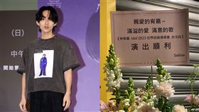 林宥嘉演唱會（圖／記者王意馨攝影）