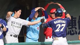 ▲日本社會人球隊，這次在亞錦賽與冬季聯盟都打出好成績。（圖／中華職棒提供）