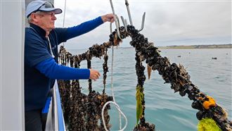 大海現撈淡菜吃到爽！老船長帶路旨味之旅