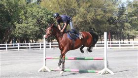 台南市立馬術場重整啟用台南市立馬術場斥資逾新台幣1500萬元重新整建，16日啟用，委託專業團隊營運，盼帶動台南馬術運動風氣。（台南市政府提供）中央社記者張榮祥台南傳真  112年12月16日