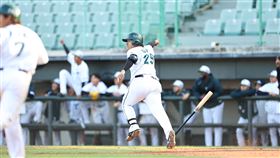 ▲張肇元敲出追平分安打，台鋼9下逼和中職聯隊，闖進冬盟冠軍戰。（圖／中華職棒提供）