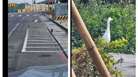 （圖／翻攝自PTT）