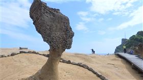 象鼻岩斷了! 走入歷史... 網憂