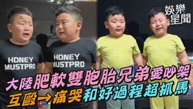 大陸肥軟雙胞胎兄弟愛吵架　互毆→痛哭和好過程超抓馬