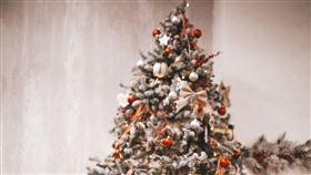 聖誕節，聖誕樹（圖／翻攝自unsplash）