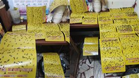 19張黏蠅板排排放 苦主怨「別住這附近」！網笑：附近青蛙很肥。爆廢公社