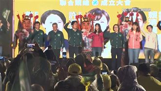 綠拚國會過半盤點12戰區　英賴蕭重兵輔選