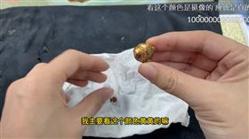 （圖／翻攝自西瓜視頻）