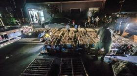 貓,喵星人,杭州,即刻救援,貨櫃車,中國,雞籠,寵物醫院,微博