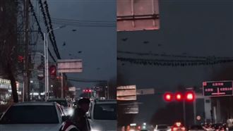 甘肅6.2強震前「鳥排站電線」　網驚吐1句