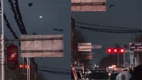 甘肅6.2強震前...鳥排站電線畫面曝！網驚喊是前兆：小時候課本裡都真的（圖／翻攝自微博）
