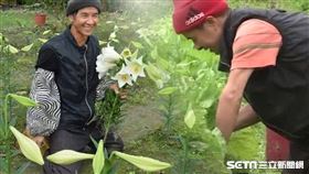 吉安楊文港授權提供