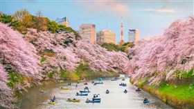 可乘坐花筏賞櫻的千鳥淵，是東京相當熱門的賞櫻勝地。易遊網提供