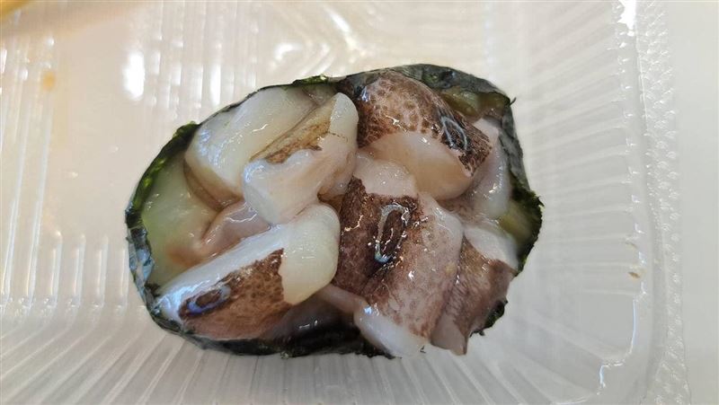 男險吞「藍環章魚壽司」　毒性排世界前3