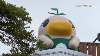 獨／諧音菜市仔！沙卡里巴出現巨型鴨公仔