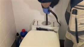 馬桶裡有蛇， 水箱驚見「世界第二大毒蛇」東方褐蛇，(圖／翻攝自Snake Catchers Brisbane & Gold Coas臉書)