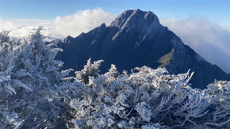 玉山今晨-5.7度出現霧淞　「雪白糖霜」曝