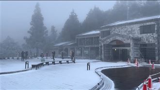 迎冬至太平山降初雪　霧凇美景曝
