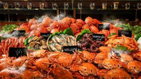 泰市場餐檯上擺滿各式鮮活蝦蟹。（圖／台北晶華酒店提供）