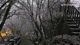 銀白世界！太平山下雪了 學生凌晨上山追雪