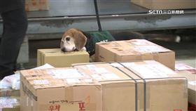 中秋節加強查緝! 郵局包裹