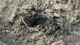 柯文哲,農牧地,開挖（圖／記者羅欣怡攝影）