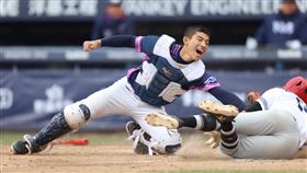 ▲台南市2局下中外野手蔡承晉長傳本壘，捕手黃贊維刺殺台東縣闖本壘的跑者，擋下關鍵的追平分。 (圖／甘霖廣告提供)