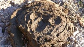 牛糞，印度，大便，屎，糞便（圖／翻攝自PIXABAY）