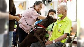 流浪犬,職訓中心,心輔犬,心靈輔助犬,心輔犬,心流,幸福研究 , 陳奕君 .銀髮族 ,憂鬱症 .乘風少年.情緒同理,新北市,重區.鍾皓羽
