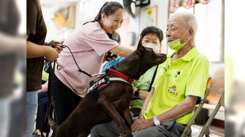 流浪狗成心輔犬！不會說卻能療癒特殊族群