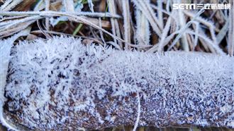 大雪山下今年首場瑞雪　遊客驚呼好美