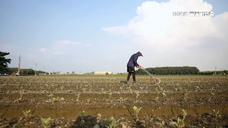 碳交所首批碳權交易！台灣邁入碳有價時代