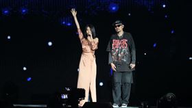 熱狗,陳綺貞（圖／記者鄭孟晃攝影）