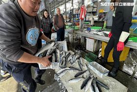 烏金入港！塭仔港豐收200萬年終獎金入袋(圖/彰化縣議員賴清美提供)