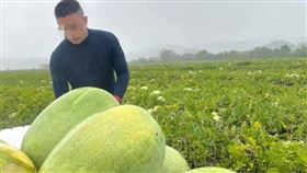 小龍在西瓜田打工，經常得要一大出門工作。（圖／台灣世界展望會提供）