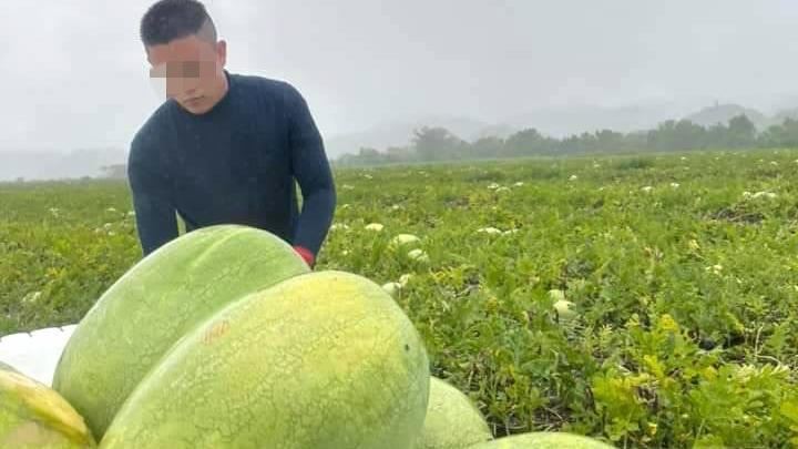 弱勢兒少揹檳榔扛西瓜…一天粗工逾12小時