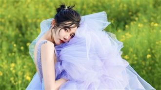 突離婚張兆志　許允樂崩潰哭曝分產內幕